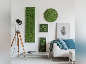 Real Moss