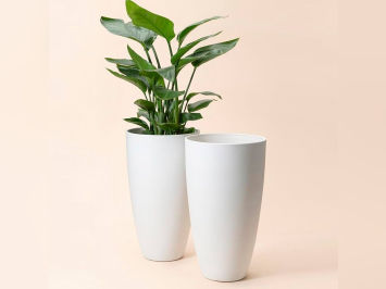 Planter